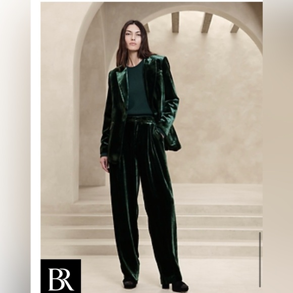 Banana Republic Pants - NWT Banana Republic Norte Velvet Pleated pants